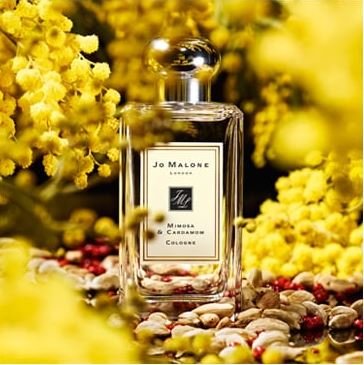 Jo Malone London Mimosa & Cardamom Cologne 100 ml. โคโลญจน์ แนวฟลอรัลแบบโอเรียนทอล หอมอบอุ่นเย้ายวน ความหอมที่ได้มาจากดอกไม้ประเภท Orange Blossom, Jasmine และ Rose ความสดชื่นของธรรมชาติบวกกับฟลอรัสและความหอมอบอวลแบบพาวเดอร์ที่ให้กลิ่นหอมติ