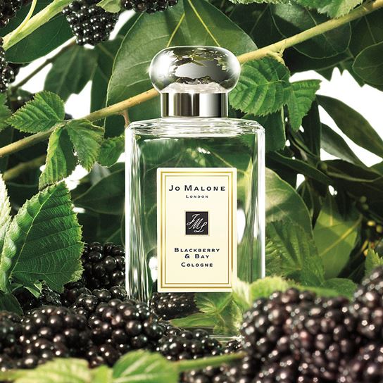 Jo Malone London Blackberry & Bay Cologne 100 ml. โคโลญจน์ กลิ่นหอมสดชื่นของกลิ่นผลไม้ จากจินตนาการในวัยเด็กกับช่วงเวลาที่สิ่งเล่นในทุ่งกว้างและเก็บผลแบล็คเบอร์รี่ กลิ่นหอมที่ฝังลึก เย้ายวน ชุ่มฉ่ำของทาร์ตเบอร์รี่ คละเคล้ากับความหอมที่ได้จ