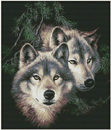 Two wolves (ไม่พิมพ์/พิมพ์ลาย)