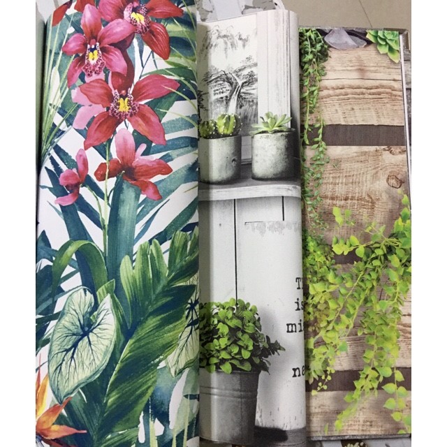 wallโมเดิร์น2 ยาว10ม กว้าง53ซม ม้วน5ตรมrs