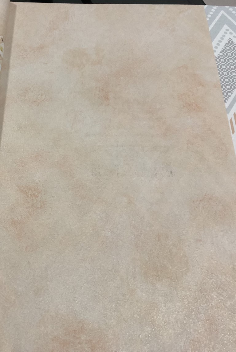 wallปูนเปลือย ปูนขัด ม้วนปกติ 1 ม้วน 5 ตารางเมตร กว้าง 53 cm ยาว 10 m bp