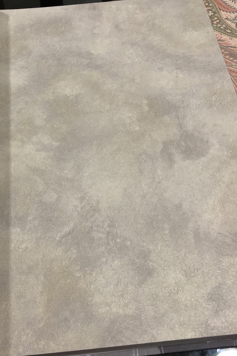 wallปูนเปลือย ปูนขัด ม้วนปกติ 1 ม้วน 5 ตารางเมตร กว้าง 53 cm ยาว 10 m bp