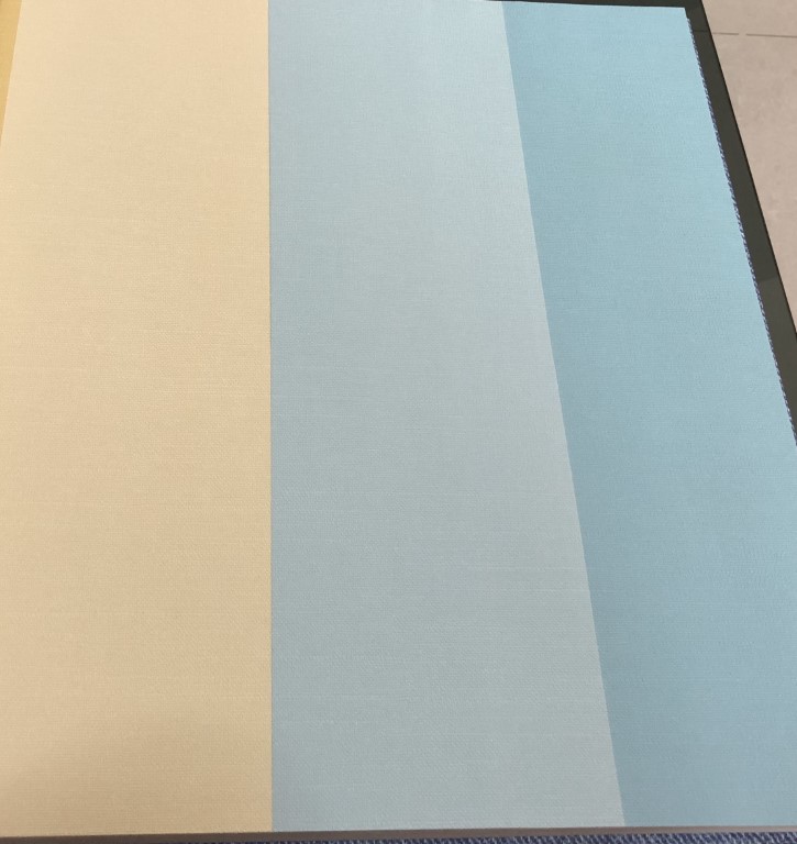 การ์ตูน ราคาถูก ยาว10ม กว้าง53ซม ม้วน 5ตรม cp