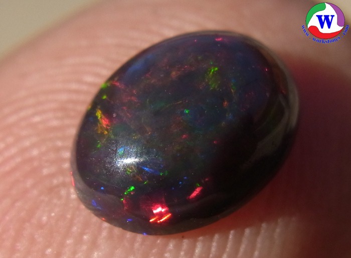 โอปอลดำ 1.10 กะรัต Black Opal คัดสวยประกายเกล็ดเด่นเขียว เนื้อพลอยในสีทอง