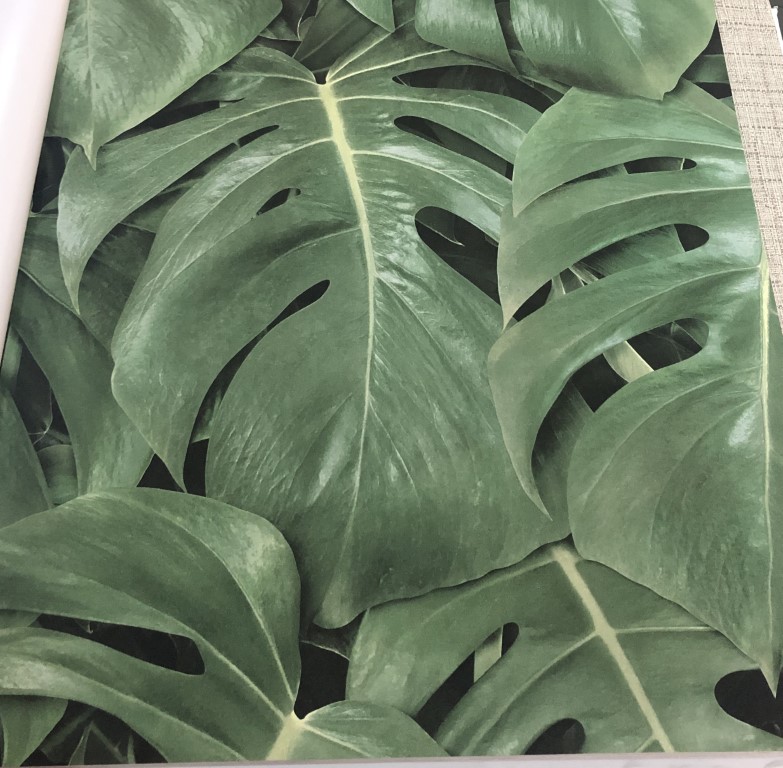 wallpaper ใบไม้ ขนสัตว์  ม้วนปกติ 1 ม้วน 5 ตารางเมตร กว้าง 53 cm ยาว 10 m  af