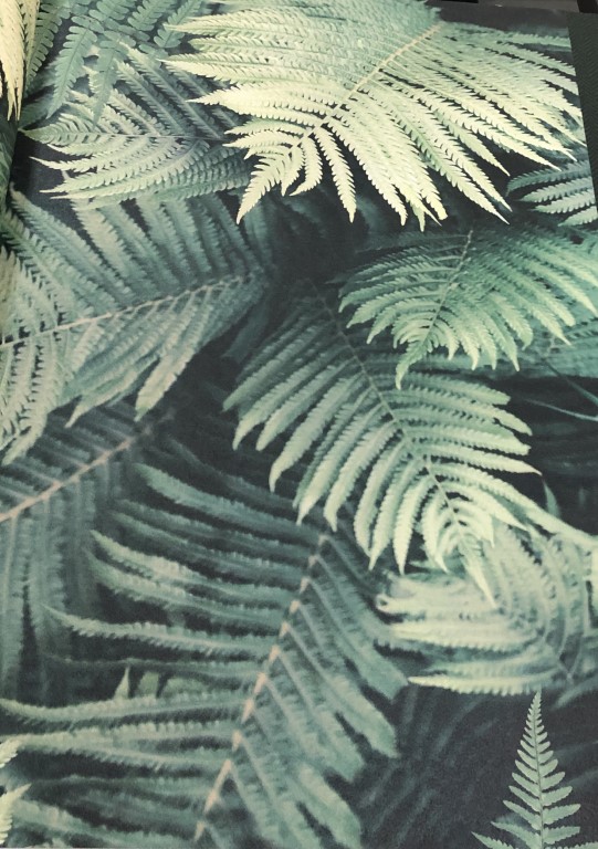 wallpaper ใบไม้ ขนสัตว์  ม้วนปกติ 1 ม้วน 5 ตารางเมตร กว้าง 53 cm ยาว 10 m  ab