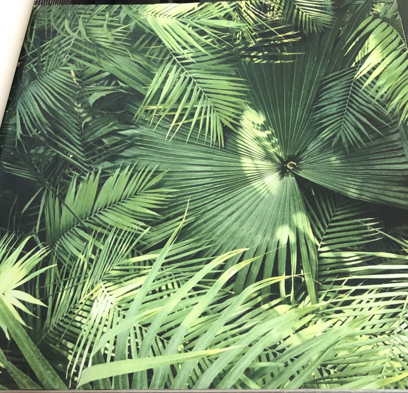 wallpaper ใบไม้ ขนสัตว์  ม้วนปกติ 1 ม้วน 5 ตารางเมตร กว้าง 53 cm ยาว 10 m  ld