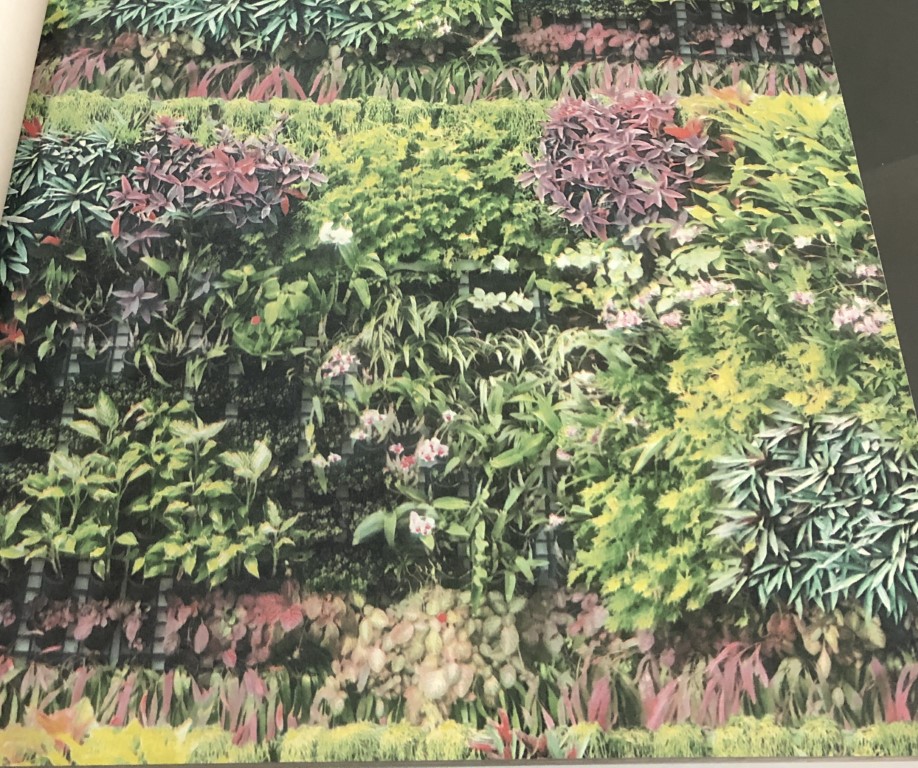 wallpaper ใบไม้ ขนสัตว์  ม้วนปกติ 1 ม้วน 5 ตารางเมตร กว้าง 53 cm ยาว 10 m  ip