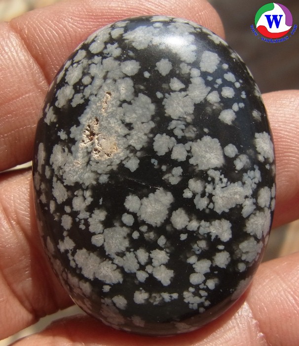 หินสีนำโชค 65.85 กะรัต หินลายดำขาว ดำเมเชียล สโตน