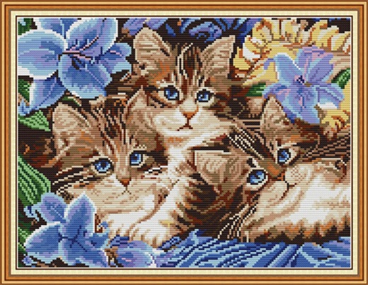 Three kitten (ไม่พิมพ์/พิมพ์ลาย)