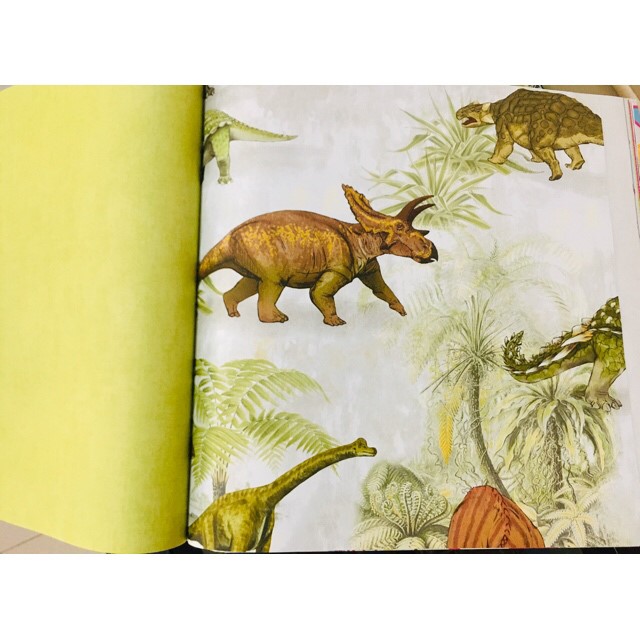 wallการ์ตูนใหม่ ยาว10ม ก53ซม ม้วน5ตรม ak