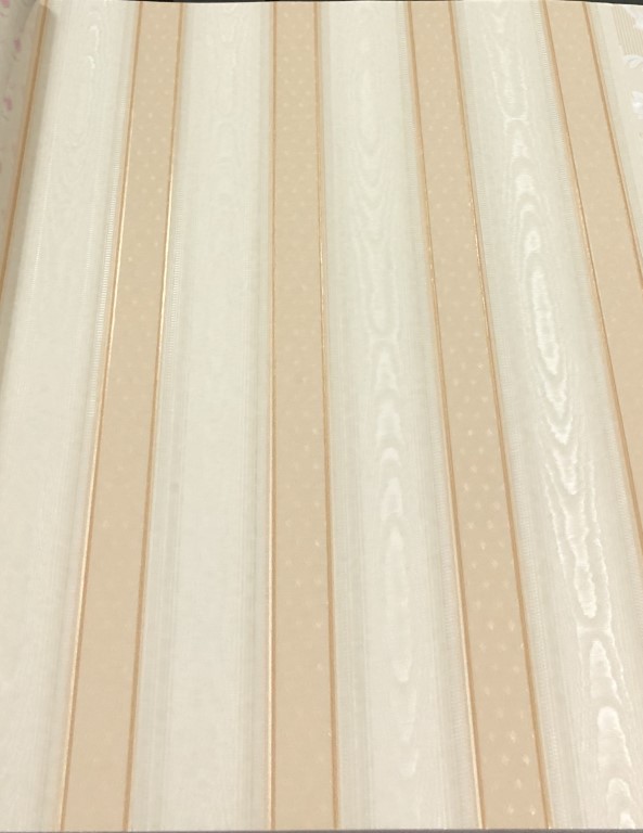 wallลายทาง ยาว10ม ก53ซม ม้วน5ตรม za2