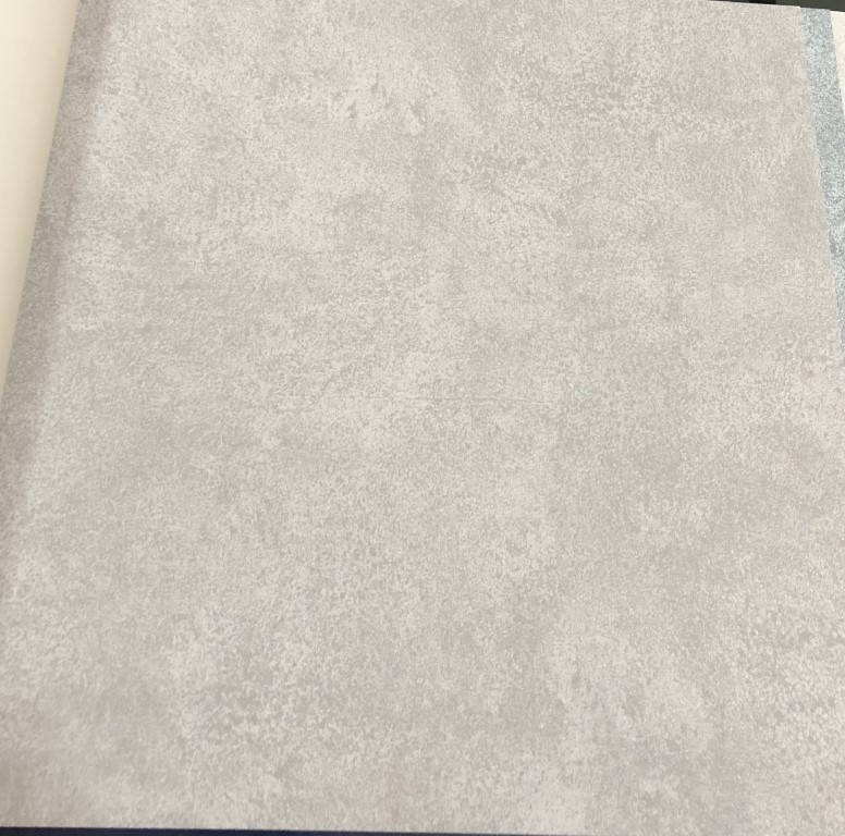 wallปูนเปลือย ปูนขัด ม้วนปกติ 1 ม้วน 5 ตารางเมตร กว้าง 53 cm ยาว 10 m csi