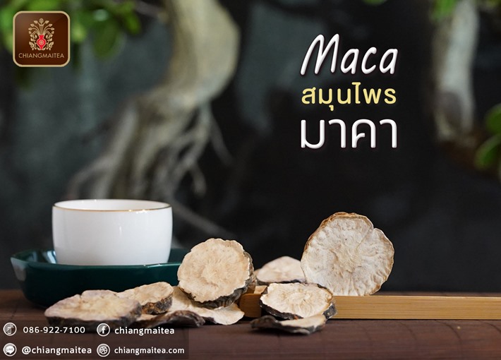 มาคา อบแห้ง (Dried Maca Herbal Tea) 100 g.