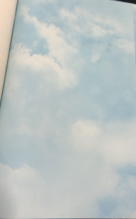 wallอิฐ ไม้1 ยาว10ม กว้าง53ซม ม้วน5ตรม idm