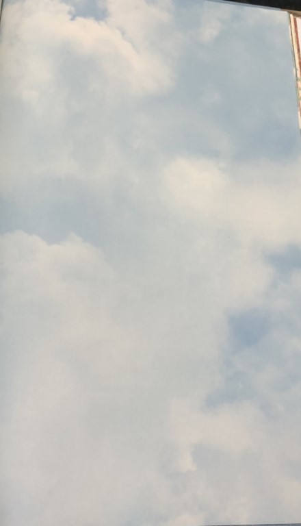 wallอิฐ ไม้1 ยาว10ม กว้าง53ซม ม้วน5ตรม idm