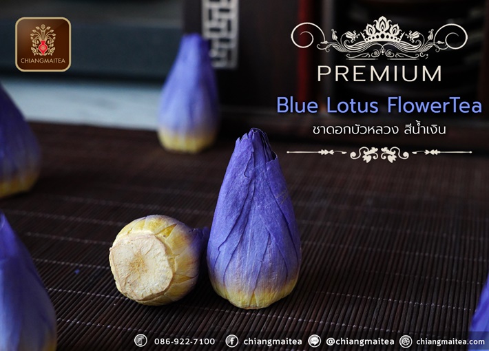 ชาดอกบัวหลวง พรีเมี่ยม (ดอกตูม) สีน้ำเงิน (Blue Sacred Lotus Flower Tea Premium)