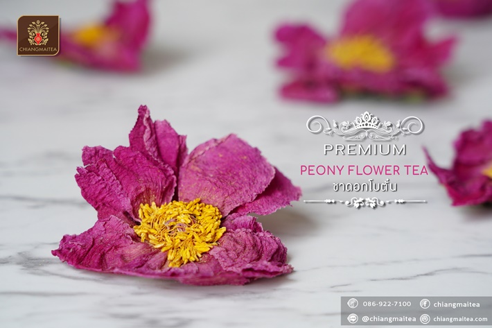 ชาดอกโบตั๋น พรีเมี่ยม (Peony Flower Tea Premium) 