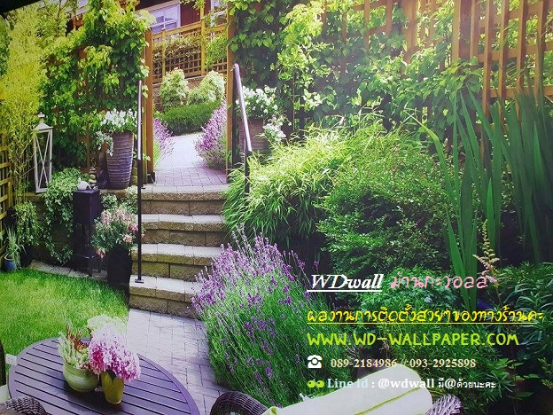 Home Design By WDwall ตกแต่งบ้านสวยด้วย wallpaperติดผนัง