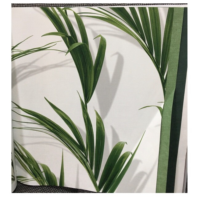 wallใบไม้ ยาว 10ม กว้าง 53ซม ม้วน5ตรมaf