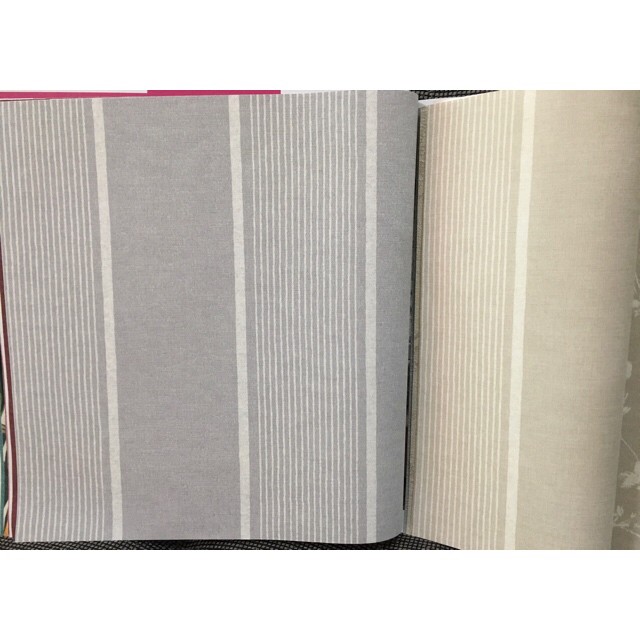 wallกราฟฟิก  ยาว10ม กว้าง53ซม ม้วน5ตรมaf