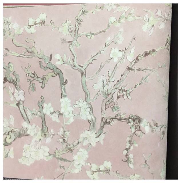 wallpaper Van gogh ลิขสิทธิ์แท้ ยาว 10ม  กว้าง53ซม ม้วน 5ตรม 