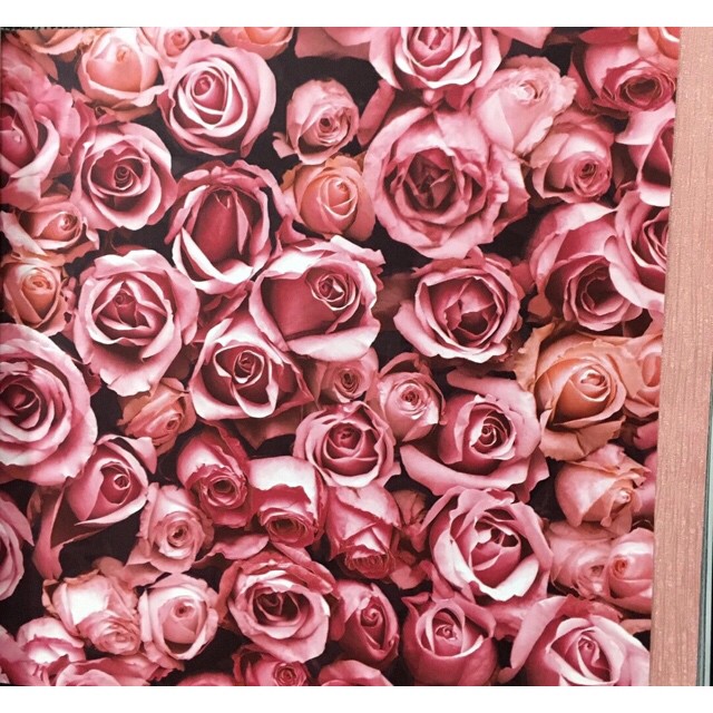 wallใบไม้ ยาว 10ม กว้าง 53ซม ม้วน5ตรมce