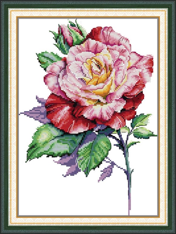 Rose (ไม่พิมพ์/พิมพ์ลาย)