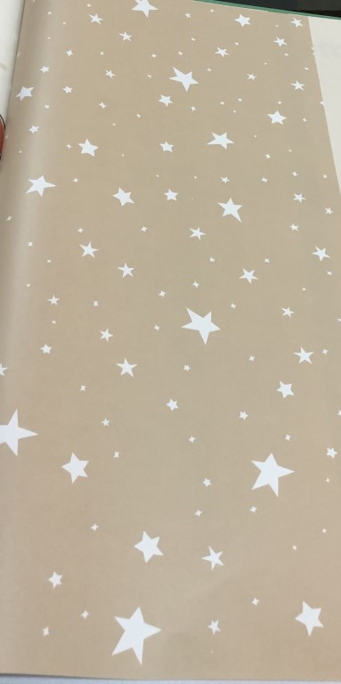 การ์ตูน ราคาถูก ยาว10ม กว้าง53ซม ม้วน 5ตรม lit