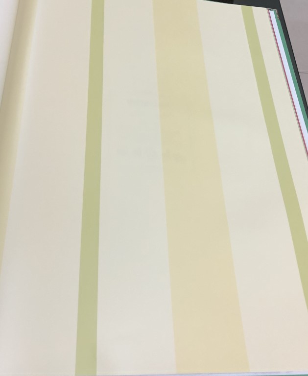 การ์ตูน ราคาถูก ยาว10ม กว้าง53ซม ม้วน 5ตรม lit