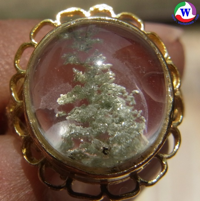 แหวนทองเหลืองหญิง หนักรวม 3.56 กรัม เบอร์ 55 แก้วโป่งข่ามนำโชคชนิดแก้วปวกสีเงินอมเขียว รูปลักษณ์ต้นไม้สีเงิน