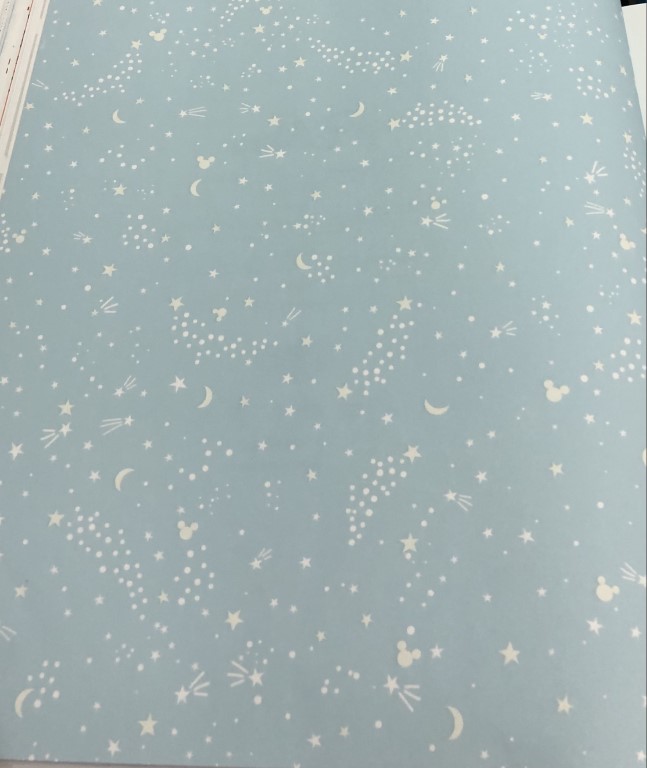 wall การ์ตูน ลิขสิทธิ์ใหม่  ยาว 10ม กว้าง 53ซม ม้วน5ตรม cd