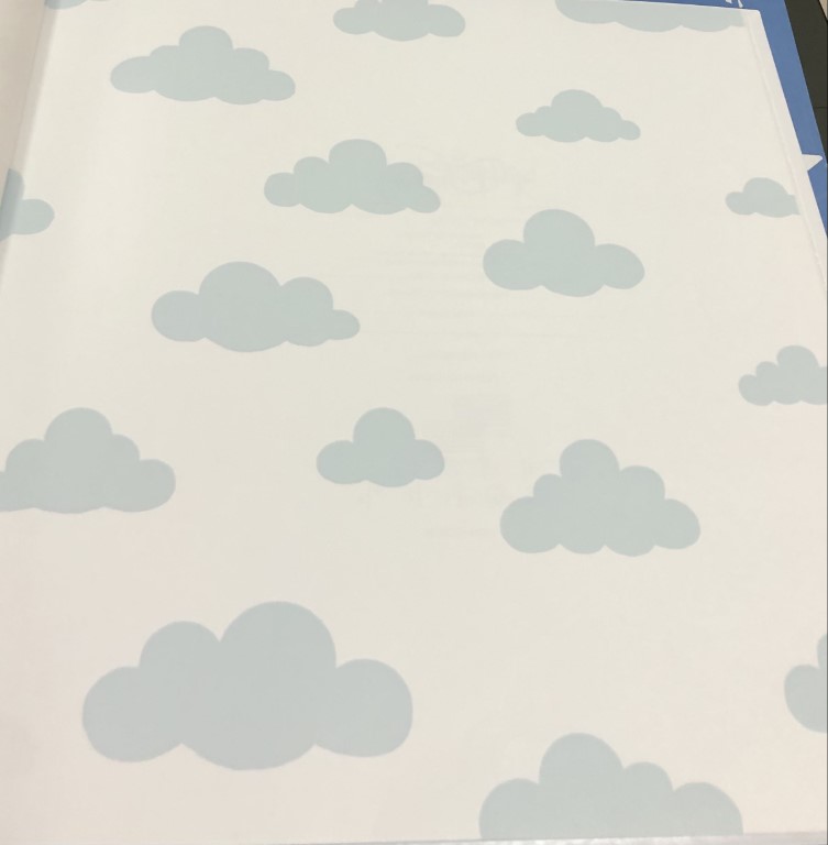 wall การ์ตูน ลิขสิทธิ์ใหม่  ยาว 10ม กว้าง 53ซม ม้วน5ตรม cd