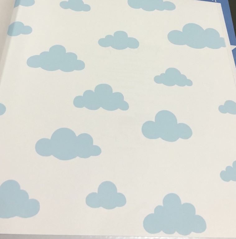 wall การ์ตูน ลิขสิทธิ์ใหม่  ยาว 10ม กว้าง 53ซม ม้วน5ตรม cd