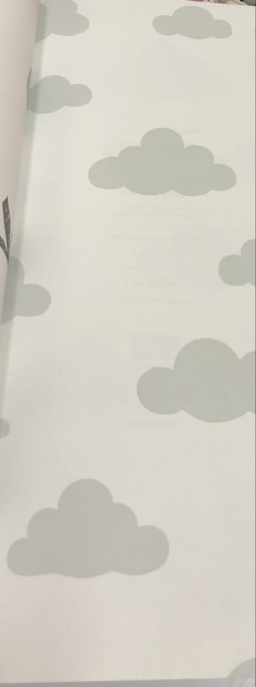 wall การ์ตูน ลิขสิทธิ์ใหม่  ยาว 10ม กว้าง 53ซม ม้วน5ตรม cd