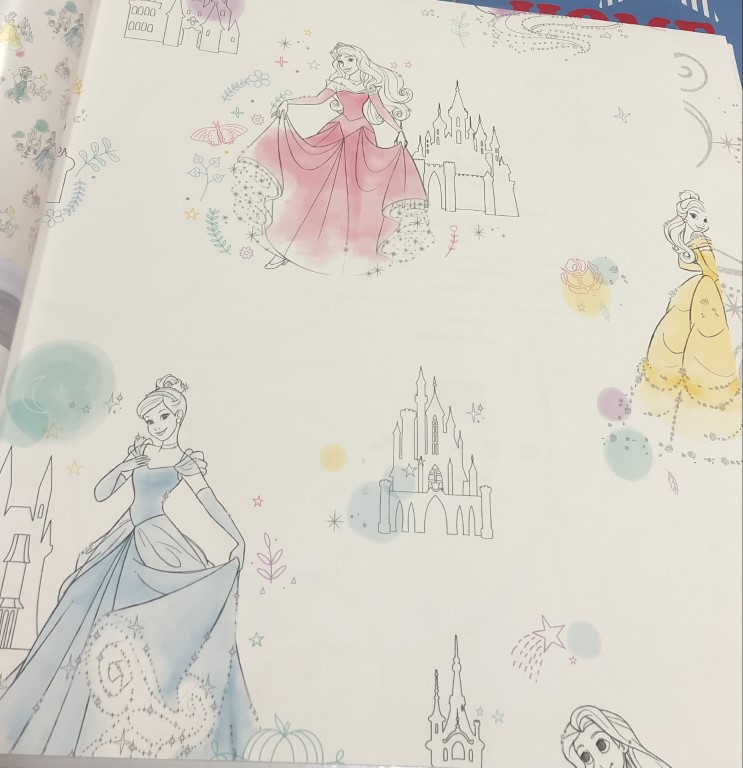 wall การ์ตูน ลิขสิทธิ์ใหม่  ยาว 10ม กว้าง 53ซม ม้วน5ตรม cd