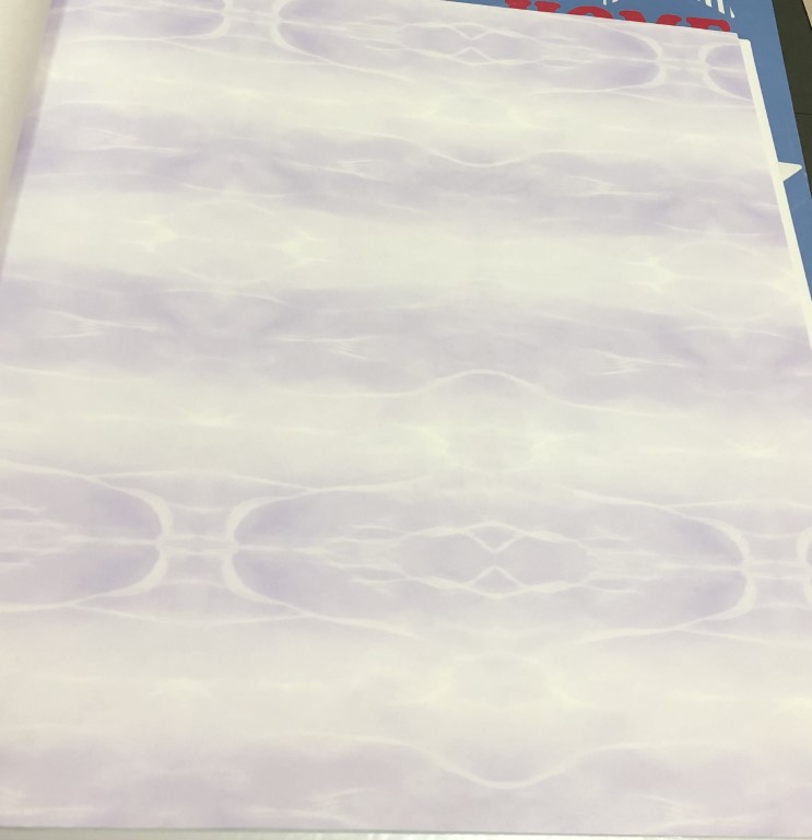 wall การ์ตูน ลิขสิทธิ์ใหม่  ยาว 10ม กว้าง 53ซม ม้วน5ตรม cd