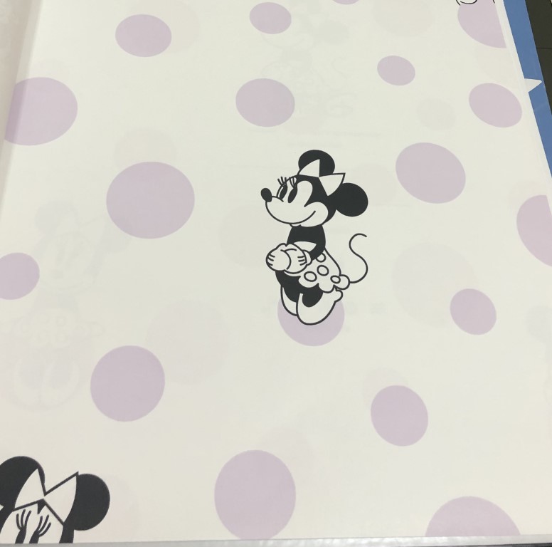 wall การ์ตูน ลิขสิทธิ์ใหม่  ยาว 10ม กว้าง 53ซม ม้วน5ตรม cd