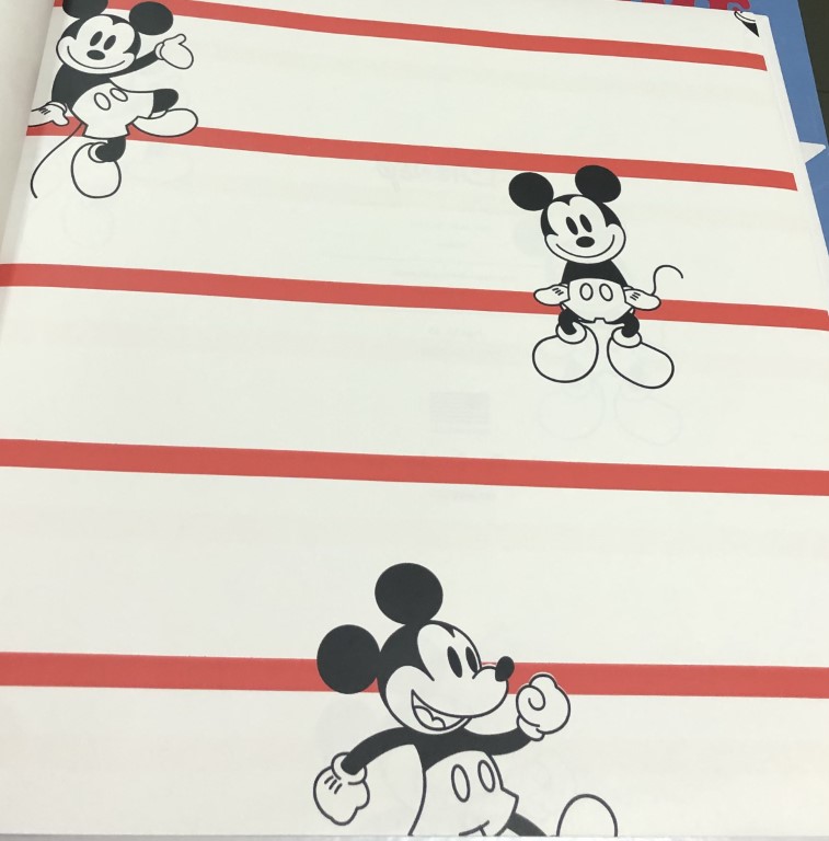 wall การ์ตูน ลิขสิทธิ์ใหม่  ยาว 10ม กว้าง 53ซม ม้วน5ตรม cd