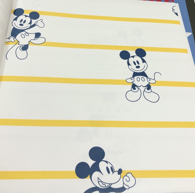 wall การ์ตูน ลิขสิทธิ์ใหม่  ยาว 10ม กว้าง 53ซม ม้วน5ตรม cd