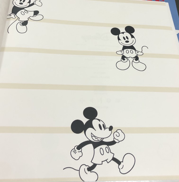 wall การ์ตูน ลิขสิทธิ์ใหม่  ยาว 10ม กว้าง 53ซม ม้วน5ตรม cd