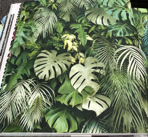 wallใบไม้ ยาว 10ม กว้าง 53ซม ม้วน5ตรม ltw