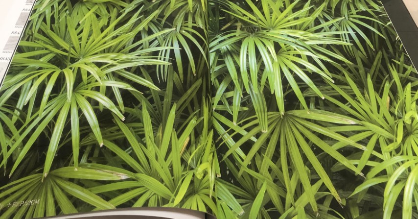 wallอิฐไม้ เกาหลีม้วนใหญ่15ตรม ยาว15.6ม ก1.06 ม cnt