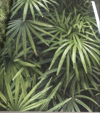 wallอิฐไม้ เกาหลีม้วนใหญ่15ตรม ยาว15.6ม ก1.06 ม cnt