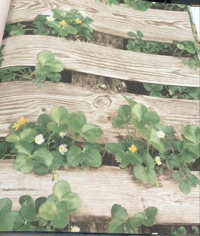 wallอิฐไม้ เกาหลีม้วนใหญ่15ตรม ยาว15.6ม ก1.06 ม cnt