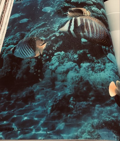 wallอิฐไม้ เกาหลีม้วนใหญ่15ตรม ยาว15.6ม ก1.06 ม cnt