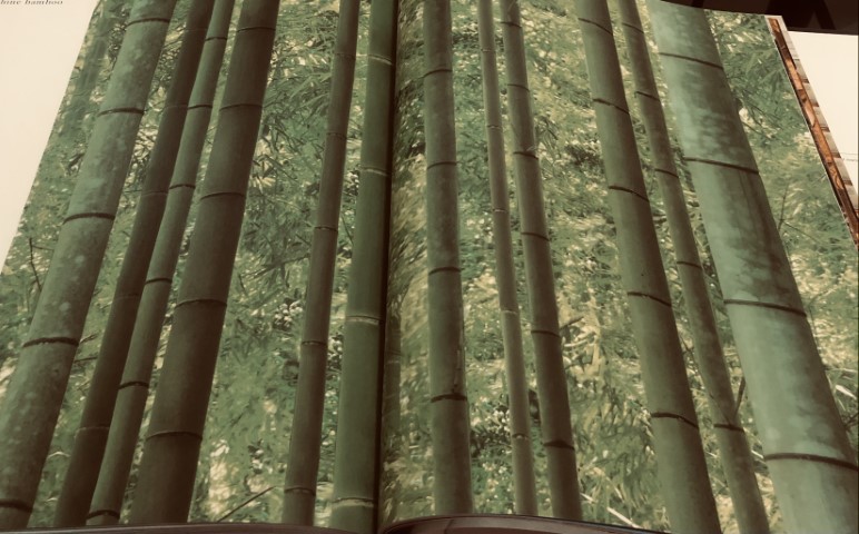 wallอิฐไม้ เกาหลีม้วนใหญ่15ตรม ยาว15.6ม ก1.06 ม cnt