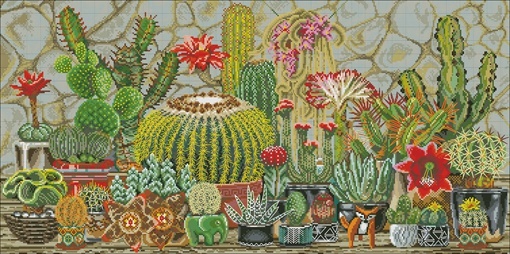 Cactus (ไม่พิมพ์/พิมพ์ลาย)
