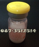 ฉีดหัวสิวอักเสบ ลดการอักเสบของสิว(สิวอักเสบ สิวไม่มีหัว สิวหัวช้าง)