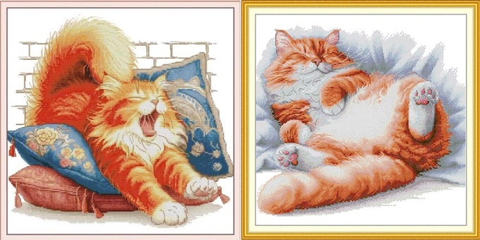 Orange cat (ไม่พิมพ์/พิมพ์ลาย)